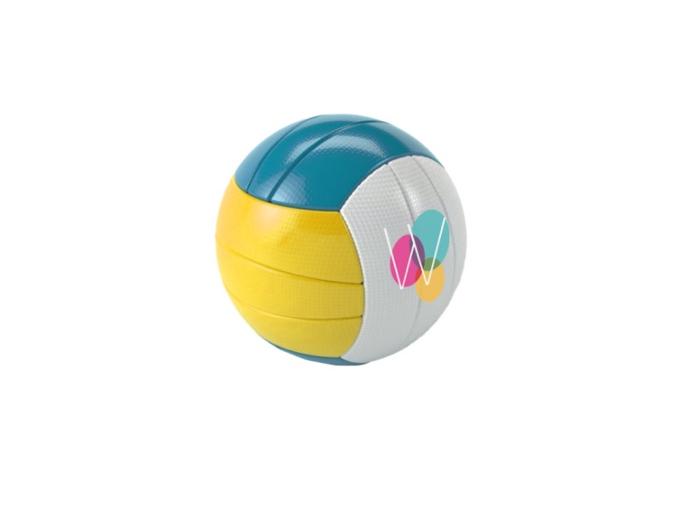 Ballon volleyball personnalis&eacute;
