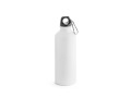 Bouteille 540 ml en Aluminum personnalisable