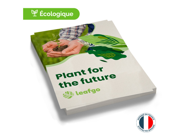 Flyer Écologique