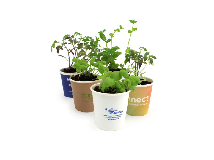 Kit de plantation pot carton personnalisable