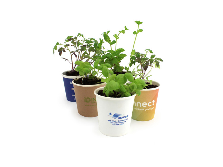Kit de plantation pot carton personnalisable