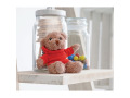 Ours en peluche avec t-shirt personnalisable