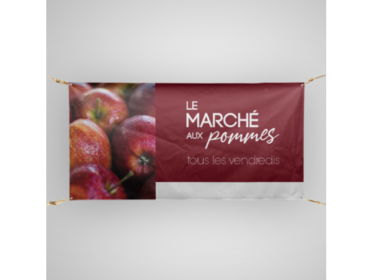 Bâche Pro 510g/m² M1