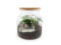 Terrarium relaxant personnalisable