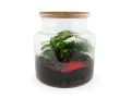 Terrarium relaxant personnalisable