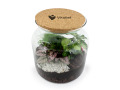 Terrarium relaxant personnalisable