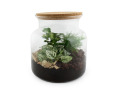 Terrarium relaxant personnalisable