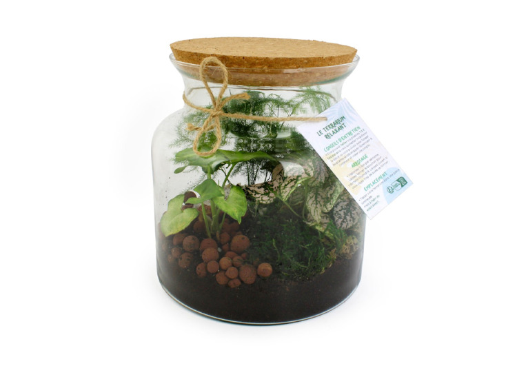 Terrarium relaxant personnalisable